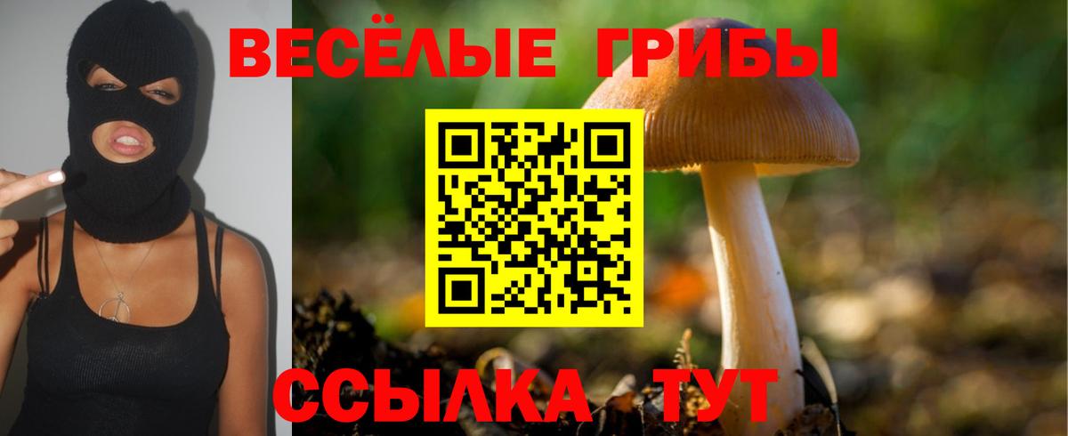 Галлюциногенные грибы Psilocybe  Псилоцибиновые грибы GOLDEN TEACHER  Вход с VPN  Луховицы 