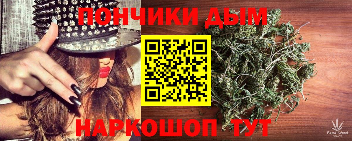 Каннабис сатива Луховицы